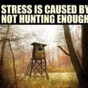 Meet your Posher, Carmel